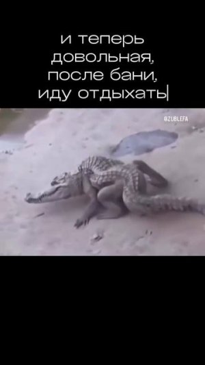 К отпуску готова