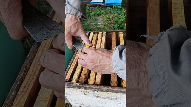 Ночное пчеловодство😀 (2 часть)