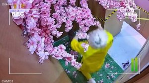 А4 Построили Гигантский КАРТОННЫЙ ЛАБИРИНТ !
