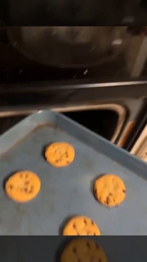 Смешные видео