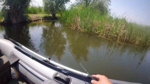 Открытие водомоторного сезона 2025!