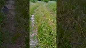 пошли искать волшебное место и в итоге ничего не нашли
