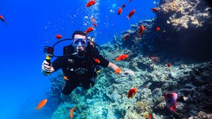 Дайвинг в красном море - Шарм-эш-Шейх