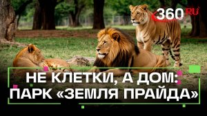 6 человек против 300 раненных душ: как работает парк-приют «Земля Прайда» в Клину