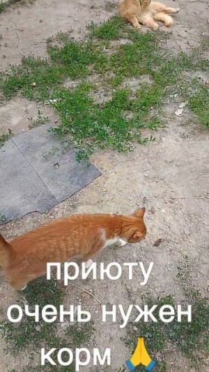 +7985 193 0027 сбер, элплат
