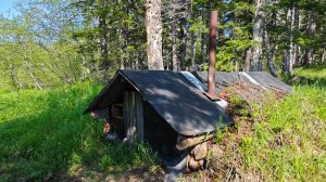 Землянка в лесу с отпечатком когтистой лапы на стене