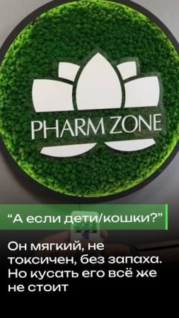 Логотип из стабилизированного мха с подсветкой
