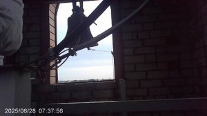 Колокольный звон перед началом Божественной Литургии 28 июня 2025: трезвон