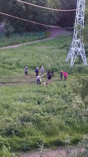 VID_20250626_221223