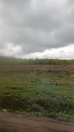 Дорога.