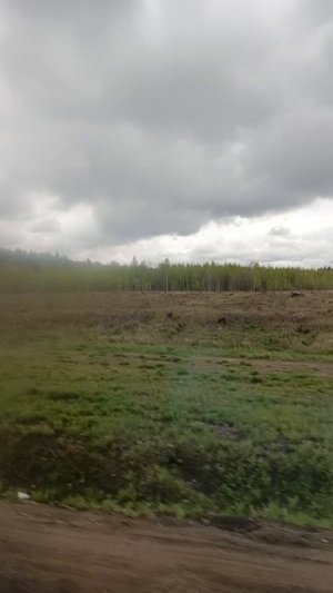 Дорога.