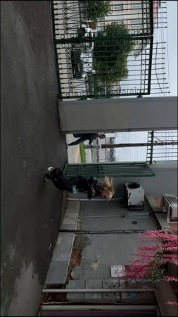 Переверни телефон, чтобы посмотреть ограбление века