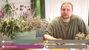 Мир чая и травяных напитков | Максим Едлин