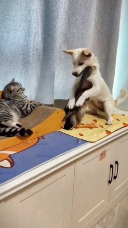 ЖИЗНЬ В ОБЩАГЕ БЕЗ ПРИКРАС!
