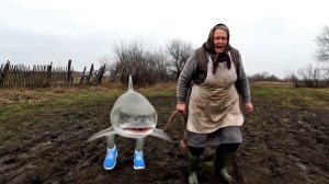 сиах