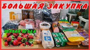 СЪЕЗДИЛИ В ГОРОД.ЗАКУПИЛИСЬ ПРОДУКТАМИ.ПЕРВАЯ ЯГОДА