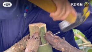 Строим Дом в Лесу с Моим Псом (Building a Home in the Woods with My Dog)