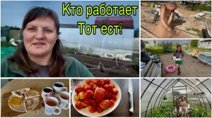 Быстрый завтрак из лаваша. Начали класть кирпич на фундамент. Собрали Клубнику. Мой огород