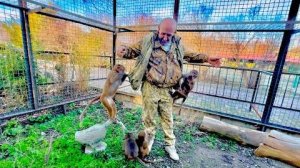Да, Люся совершила ТАКОЙ ПРЫЖОК мне на голову, зарядив коленкой в висок