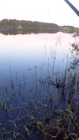 Щука клюет 🎣