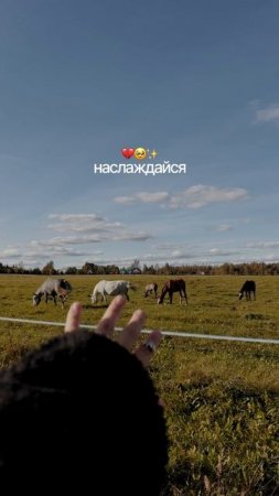 это моя фотопленка и ты в нее на секунду заглянул, как тебе?💔 #контент #обзор #эстетика