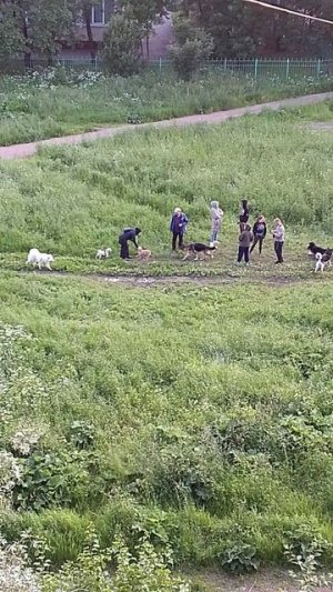 VID_20250626_211130