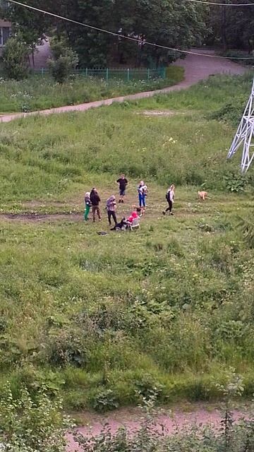 VID_20250628_215113