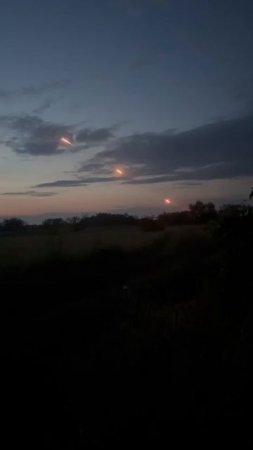 Ёжик на фронте идет по своим делам