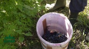 Аграр: 28.06.2025.