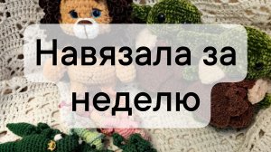 вязовлог 25/2025 навязала за неделю