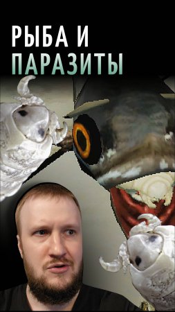 БЕЗУМНЫЙ МИР РЫБ