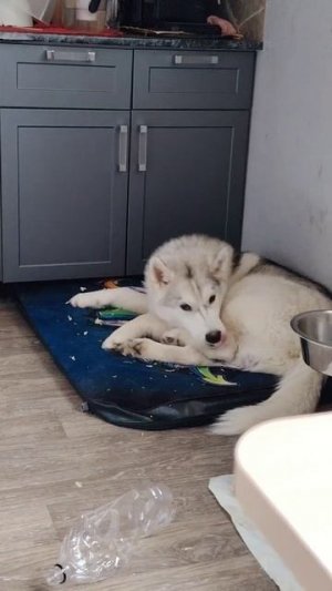 Салон красоты от Джека 😊