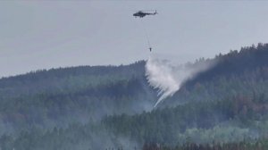 Локализован крупный лесной пожар, угрожавший домам в Забайкалье