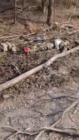 🔴Атмосферное видео🤗🔴