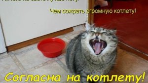 Своя ноша