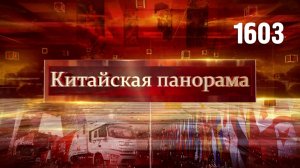 Инфраструктурные приоритеты, права человека в цифровую эпоху,  диалог цивилизаций – (1603)