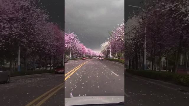 2025-06-29-013432527.mp4