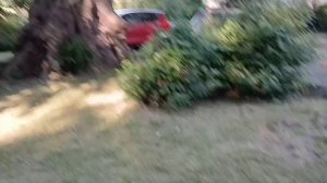 28-06-2025
