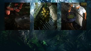 HITMAN 2: Объятия змеи. "Заклинатель змей", "Кокос пошел вразнос", "Переперчили".