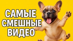 Смех до слёз: лучшие приколы №162
