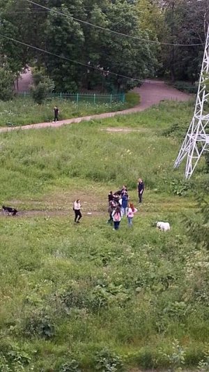 VID_20250627_214035