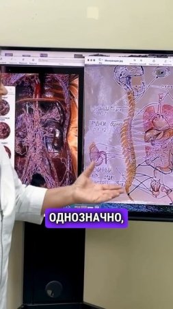 Связь между болью в спине, воспалением и лимфатической системой