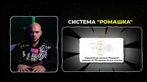 Система роста продаж и аудитории "Ромашка"