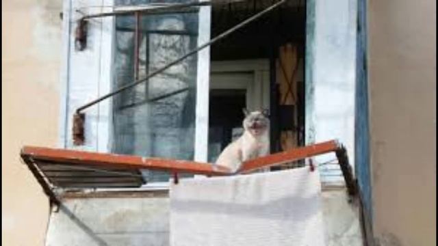 28 июня - День Фита. Традиции и народные приметы
