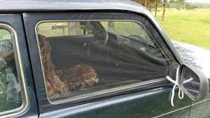 Автомобильная москитная сетка для защиты от насекомых