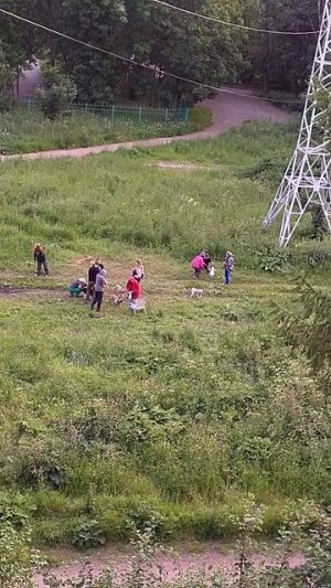 VID_20250628_214146