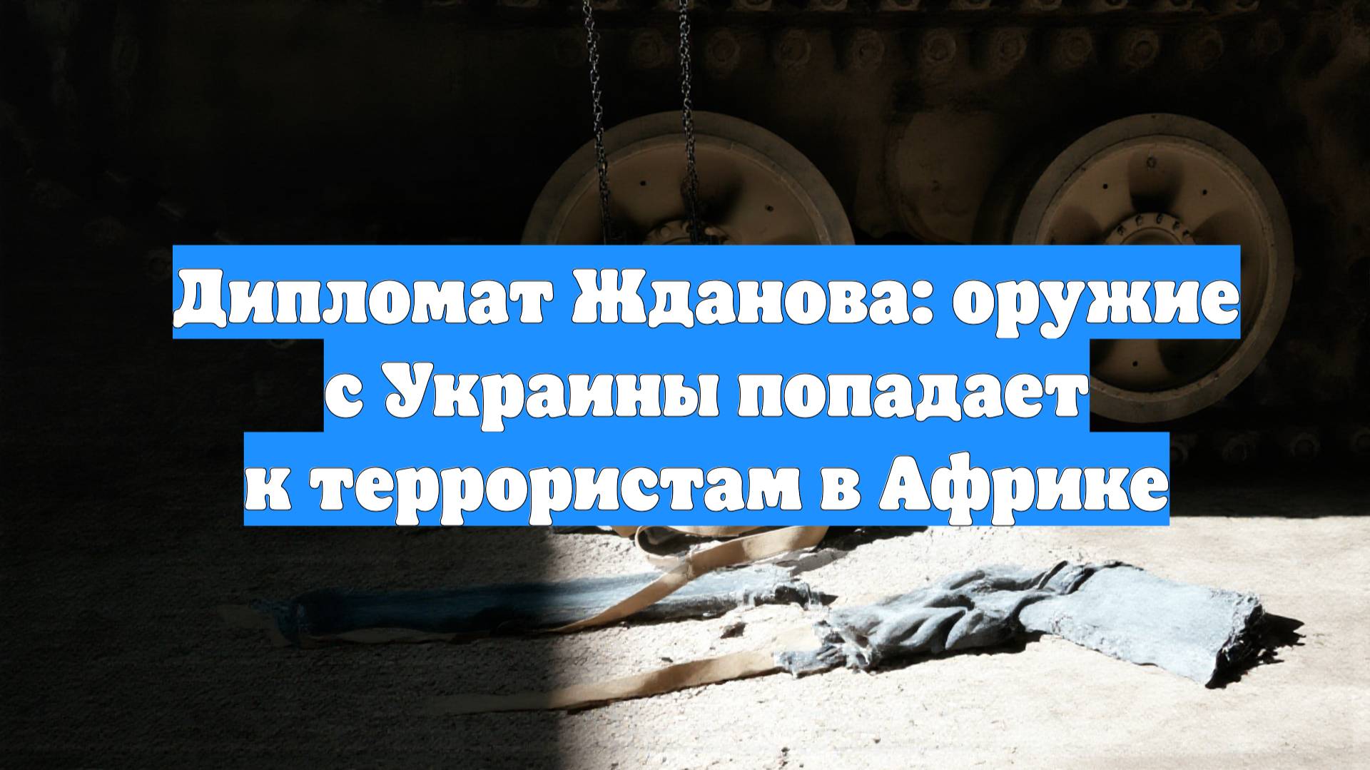 Дипломат Жданова: оружие с Украины попадает к террористам в Африке