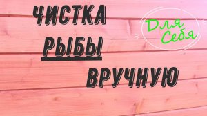 Чистка окуня Как чистить окуня от чешуи быстро Рыбочистка своими руками Как сделать рыбочистку