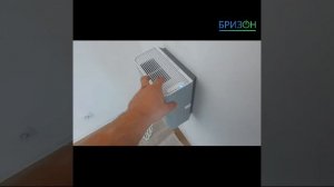 Баллу 100