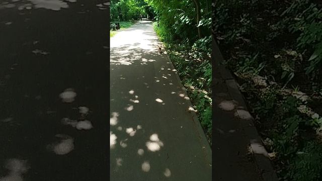 Пустила Сеню на вольные хлеба, а он давай кусты окучивать😁